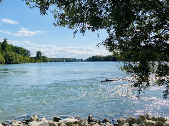biologische Naturgesetze zur Heilung