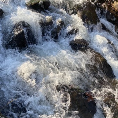 Einzelgespräch Stuttgart