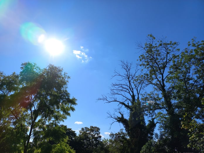 Selbstheilungskräfte aktivieren